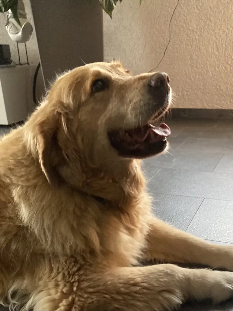 Andachtsbild von Angelika mit Luna ❤️ + 02.03.2023