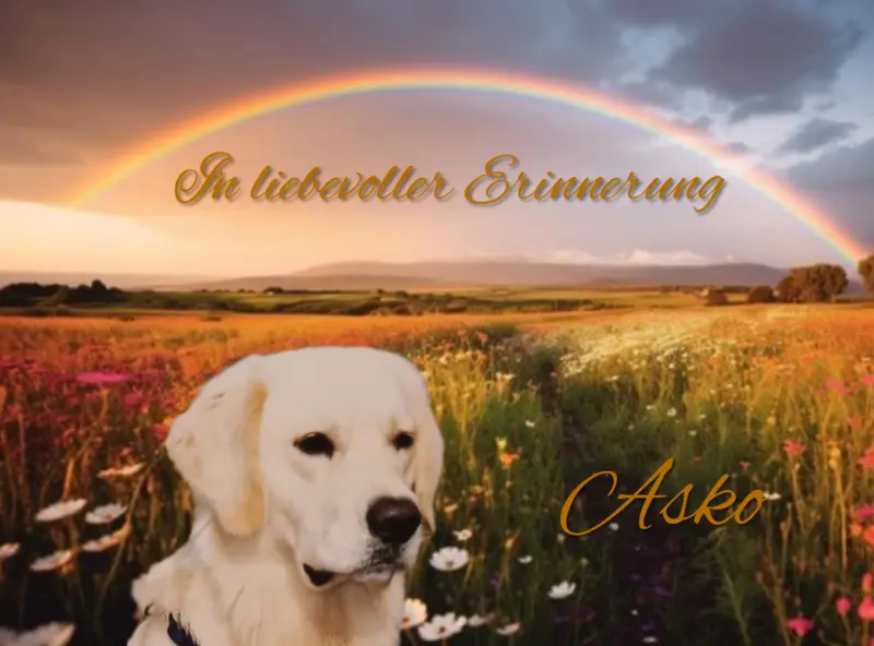 Andachtsbild von Claudia mit ASKO❤️