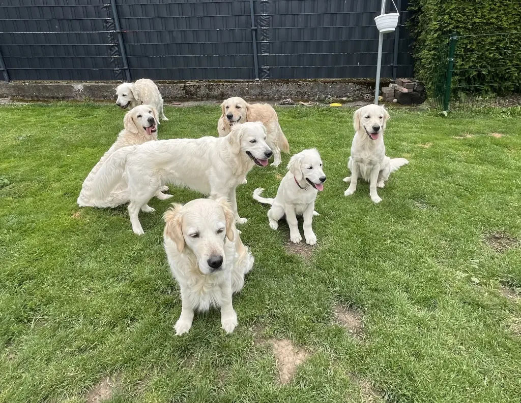 Andachtsbild von Monika