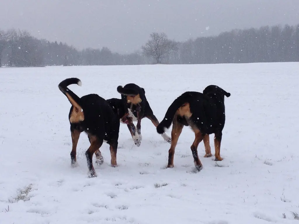 Condolence image of Andrea