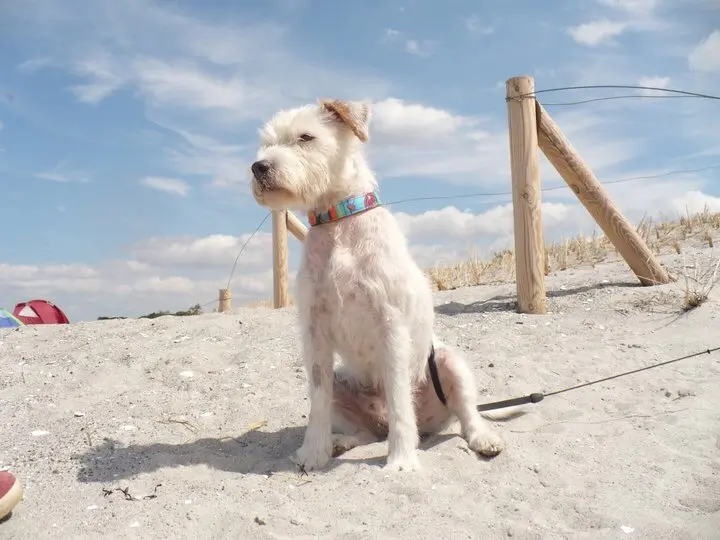 Condolence image of Gesine