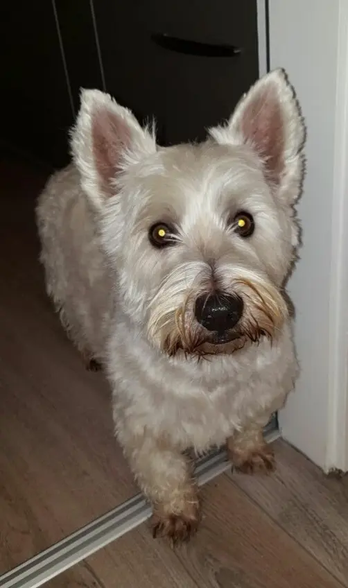 Condolence image of Anita