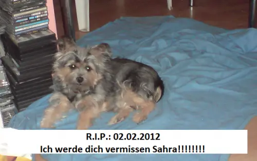 Image from Sahra