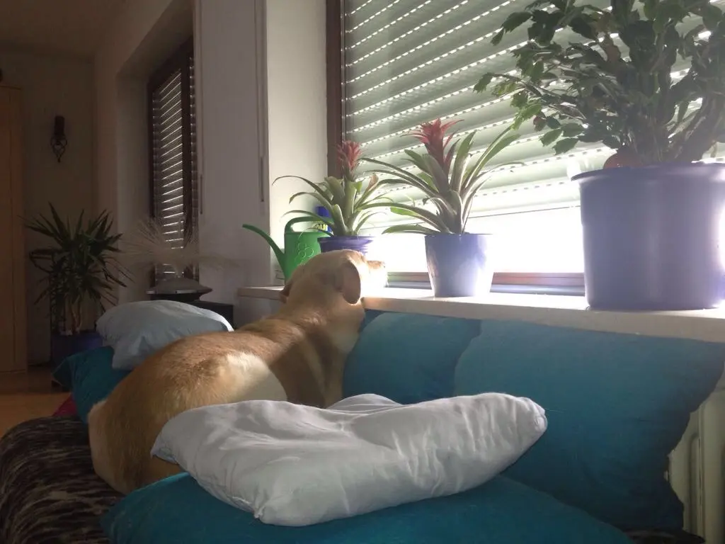 Condolence image of Nicole