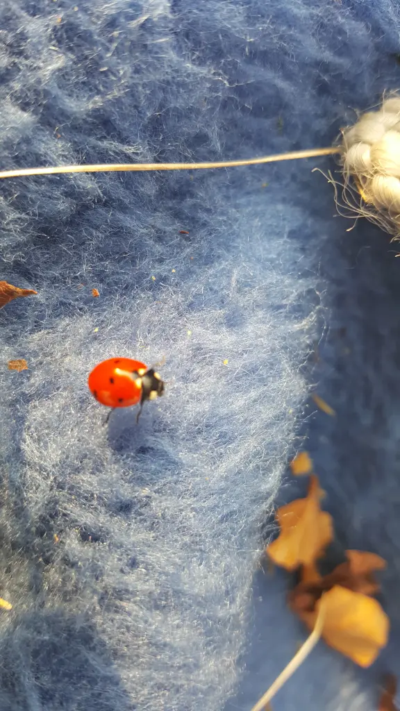 Condolence image of In Liebe