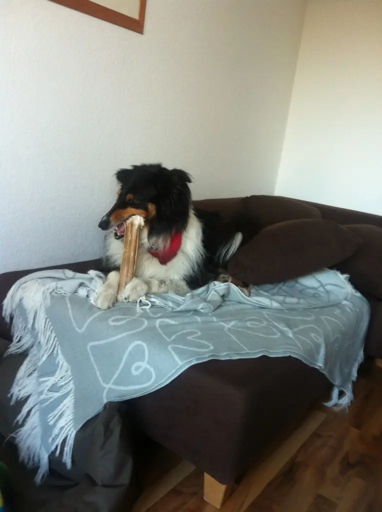 Image from Leika