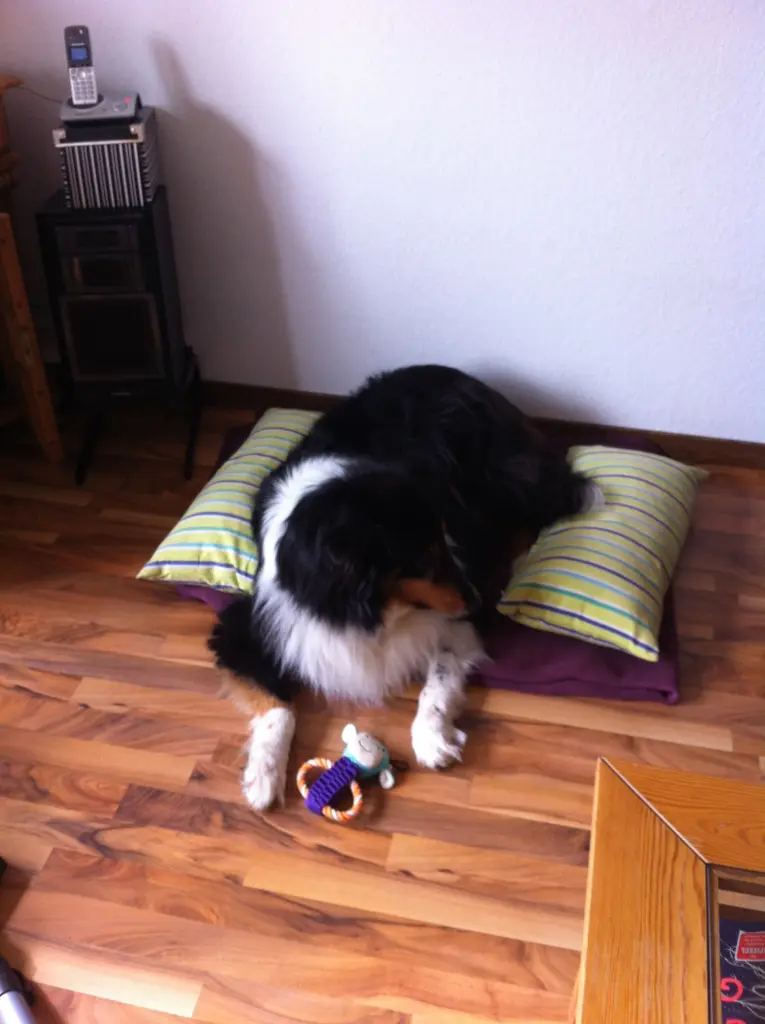 Image from Leika