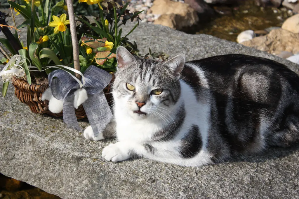 Condolence image of Simone mit Moritz tief im Herzen