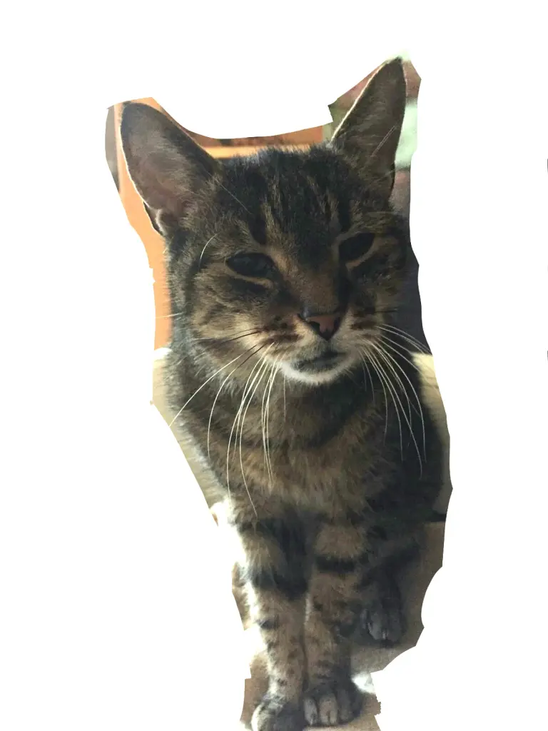 Image from Gismo
