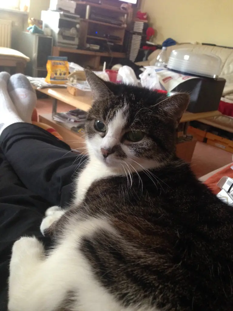 Condolence image of Manuela  Spence—Kunz