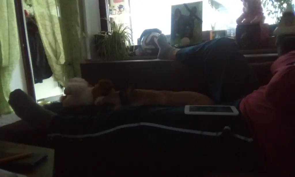 Condolence image of Elfi,Joy,Meggy,Robby U Buddy im Herzen????