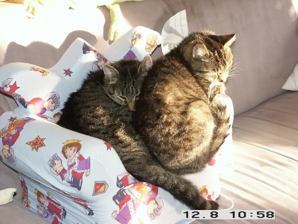 Image from Moritz