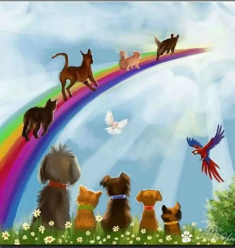 Condolence image of Karin + Thomas