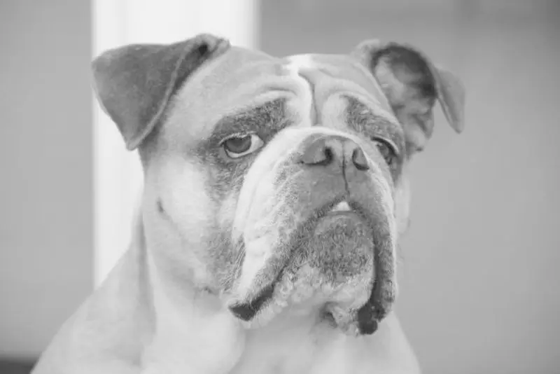 Condolence image of Grit und Emma im Herzen