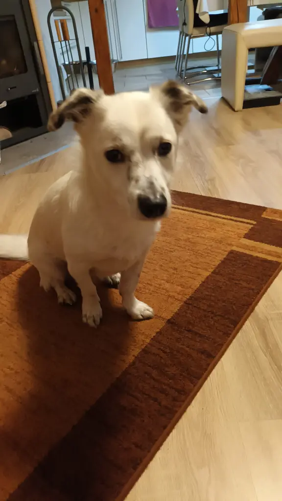 Condolence image of Vera mit Alf im ❤