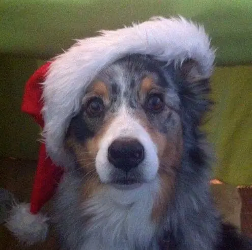 Condolence image of Christine Mendonca 