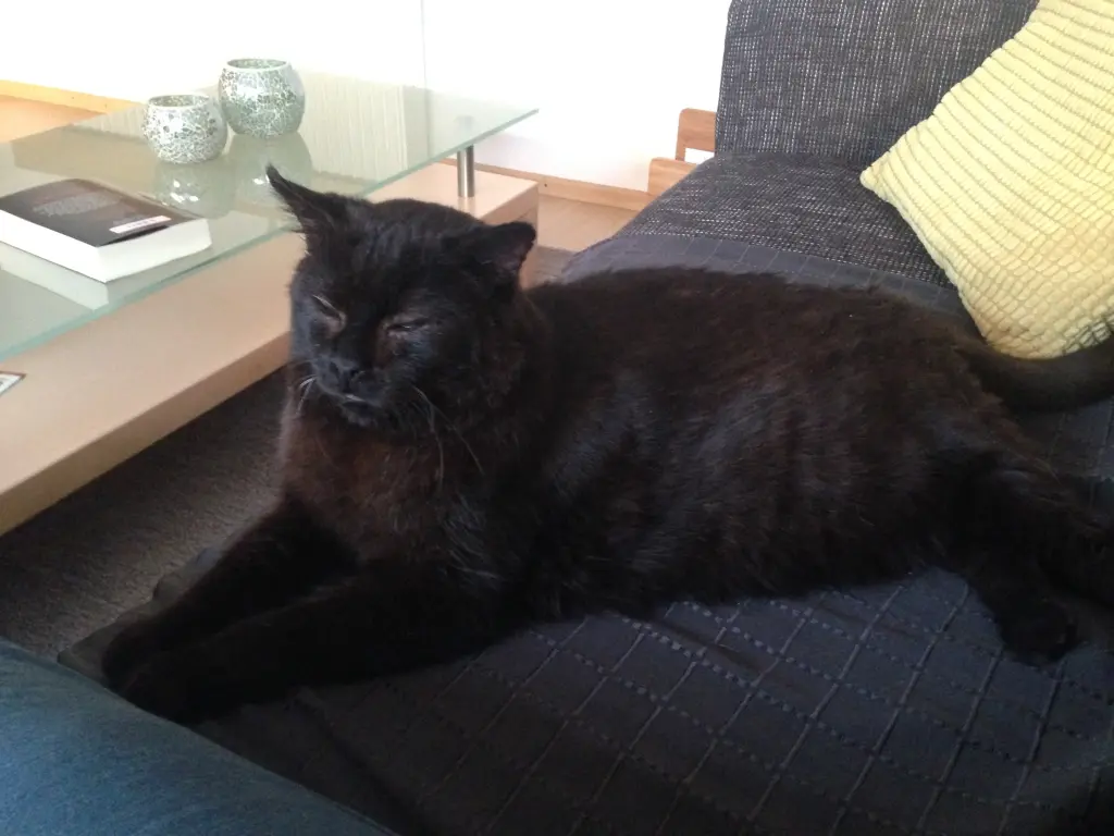 Condolence image of Iris