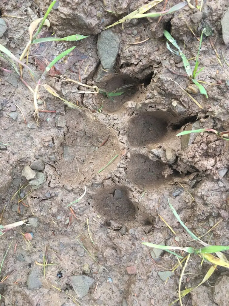 Condolence image of Esther mit Linu