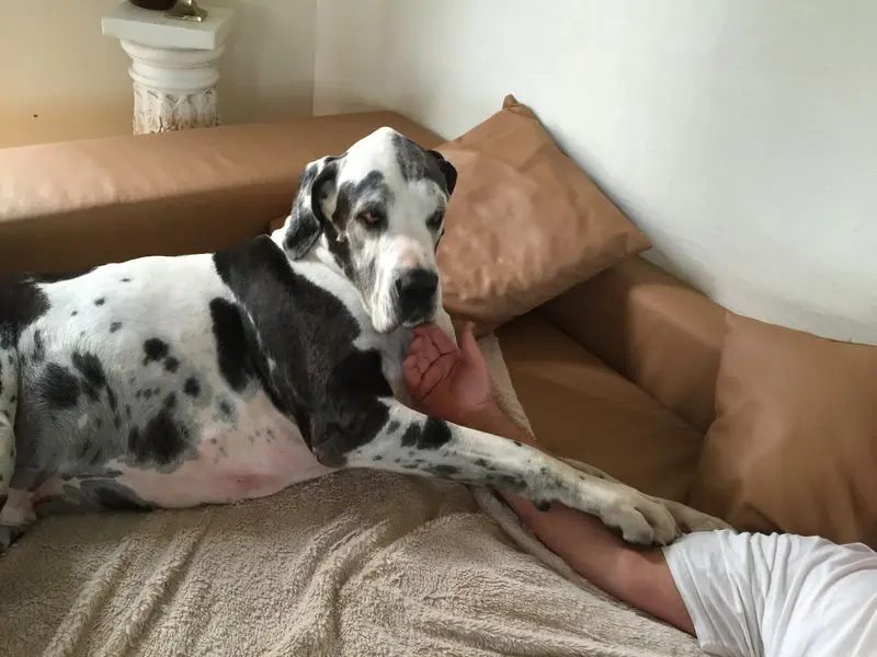 Condolence image of Esther mit Linu