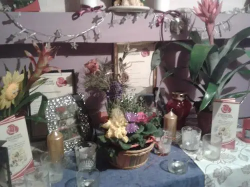 Image from wuschel-bärli und sheila meine zwei lieben