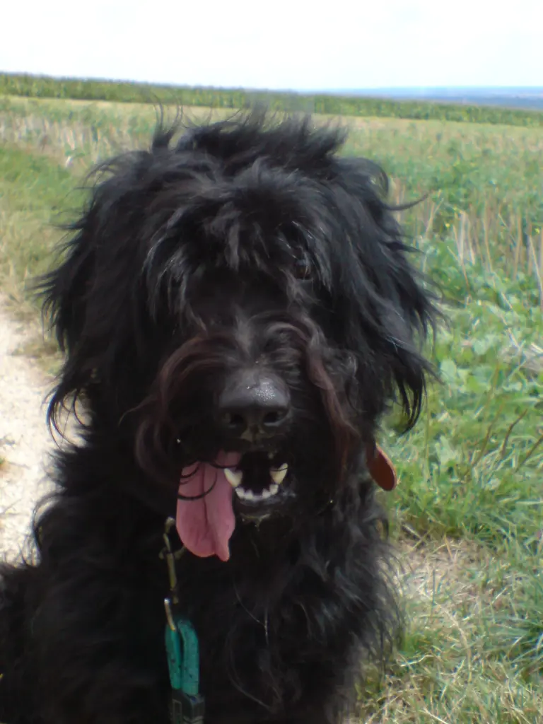 Condolence image of Bernd&jahjah