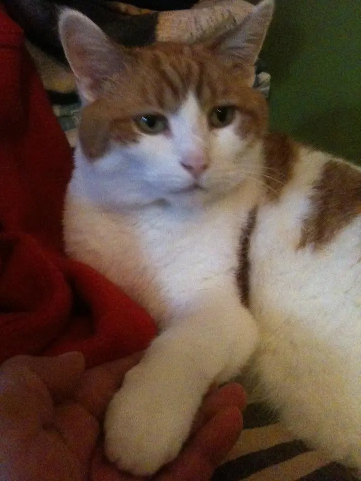 Condolence image of Martina