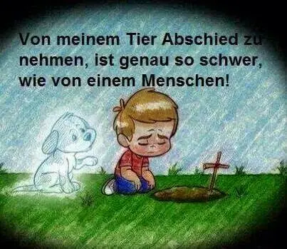 Condolence image of Helmut mit Benny im Herzen