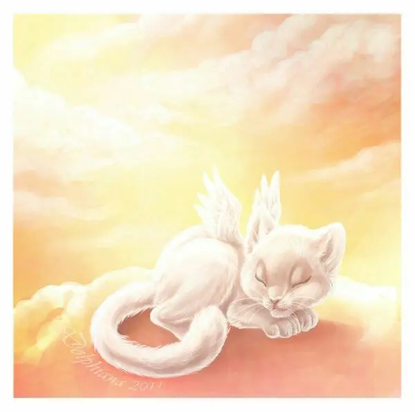 Condolence image of Martina Blümke