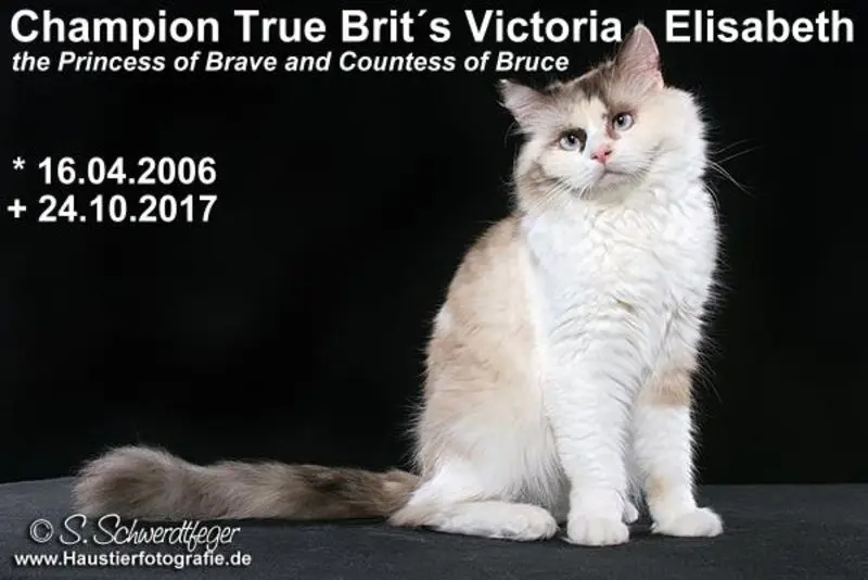 Image from Victoria-Elisabeth