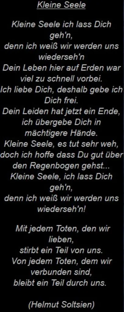 Image from Victoria-Elisabeth