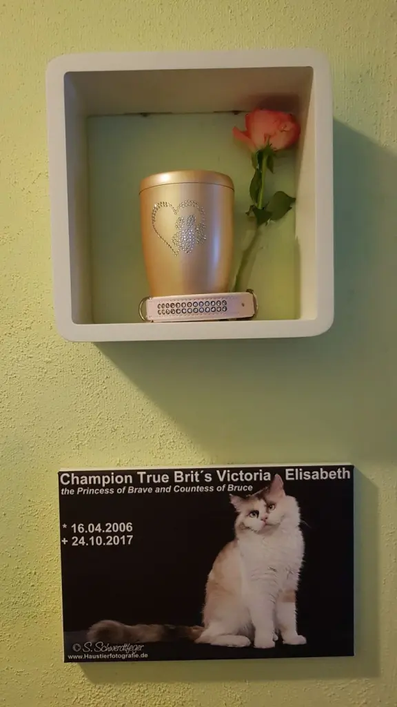 Image from Victoria-Elisabeth