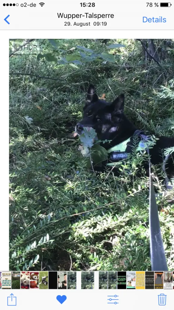 Condolence image of Unbekannt