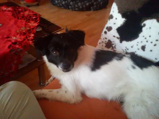 Image from Candy