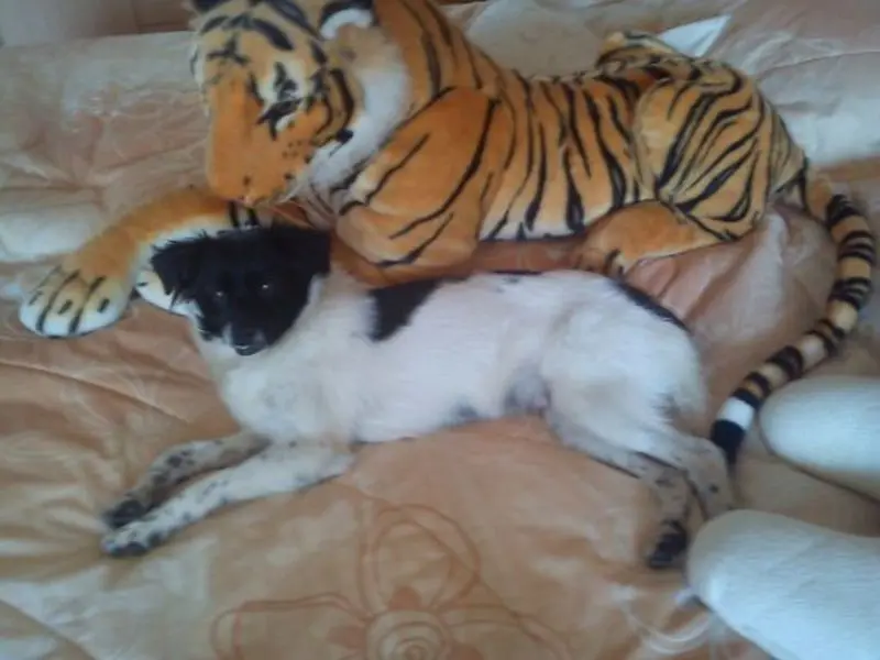 Image from Candy