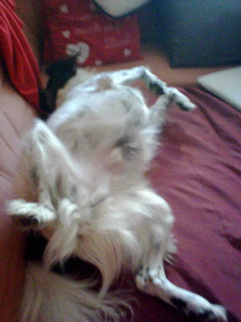 Image from Candy
