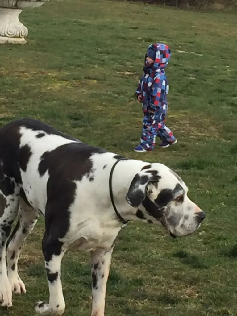 Condolence image of Esther mit Linu