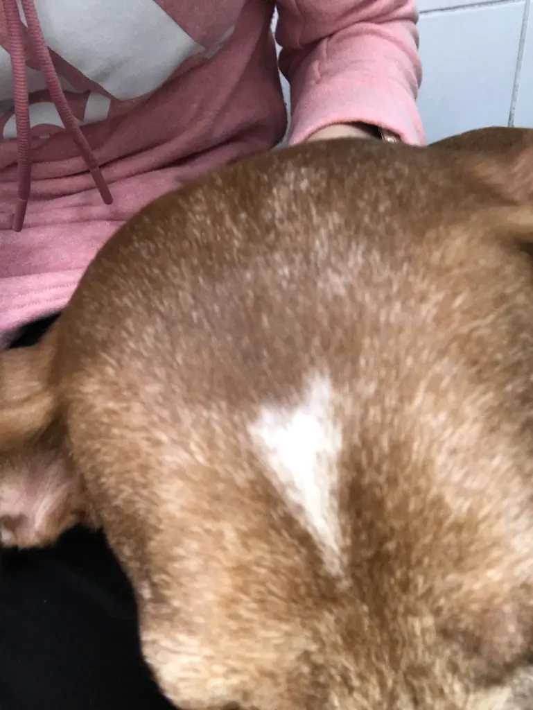 Condolence image of Deborah  Frieling