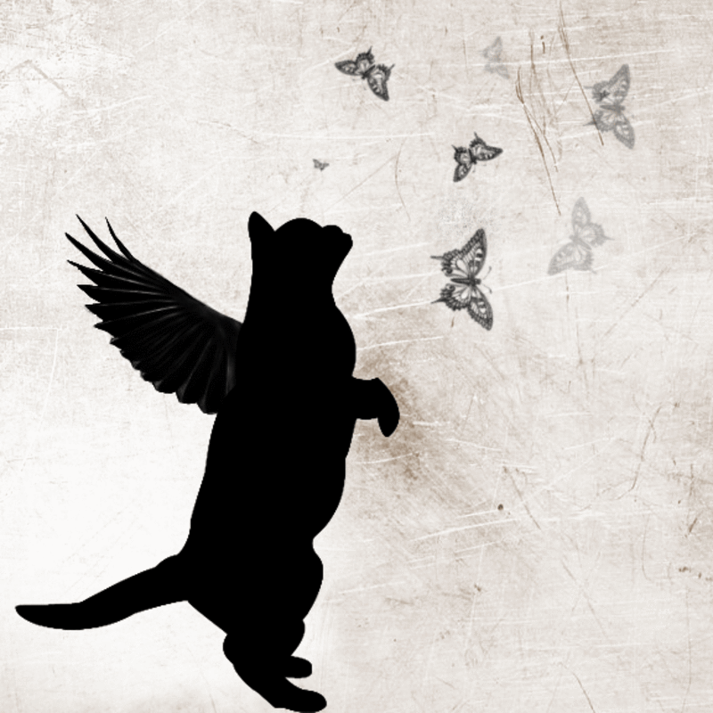 Condolence image of Meltem