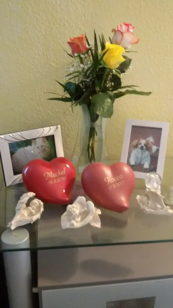 Condolence image of Reiner 