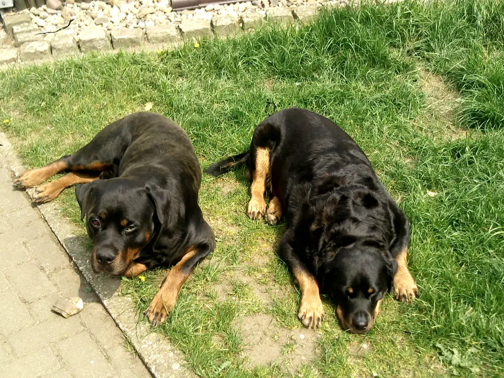 Condolence image of Andrea