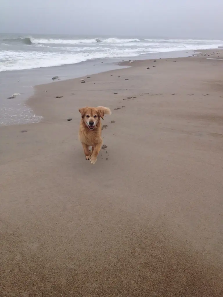 Image from Linus