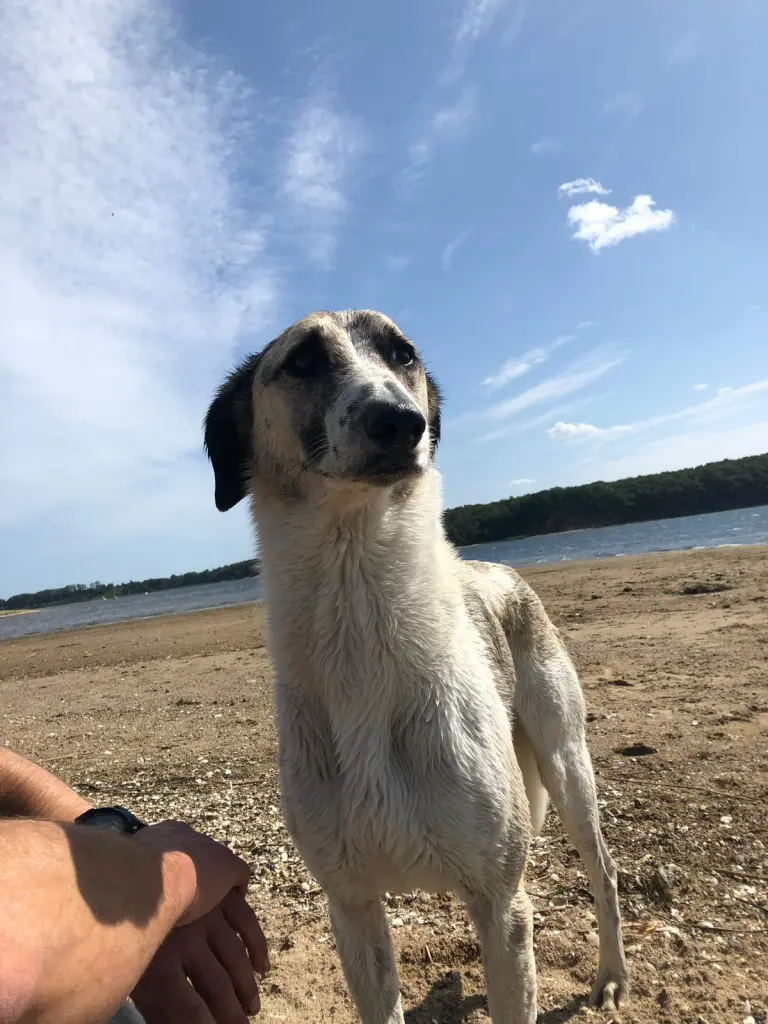 Andachtsbild von Melanie  Für Tayo…