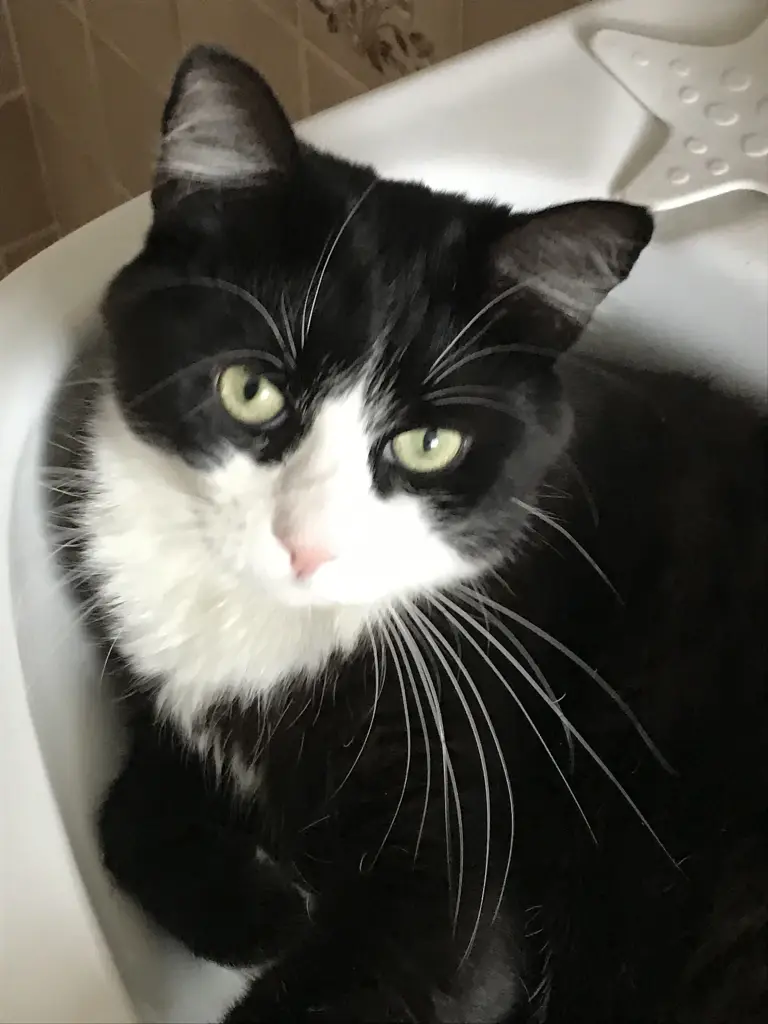 Andachtsbild von Susanne + Pumuckel ❤️