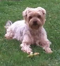 Andachtsbild von Ewa & Krzysztof mit Jacki tief im Herzen❤️