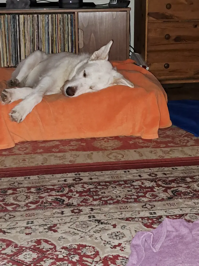 Andachtsbild von Helga