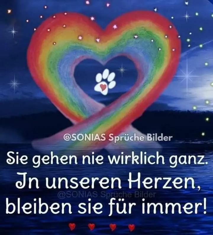 Andachtsbild von Irene mit Seelenhund JIMMY ganz tief im Herzen ❤️