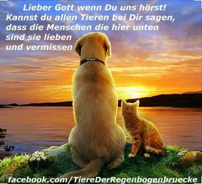 Andachtsbild von Ingrid mit Vini im Herzen