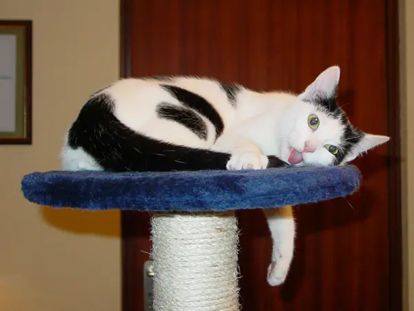 Condolence image of Aljona