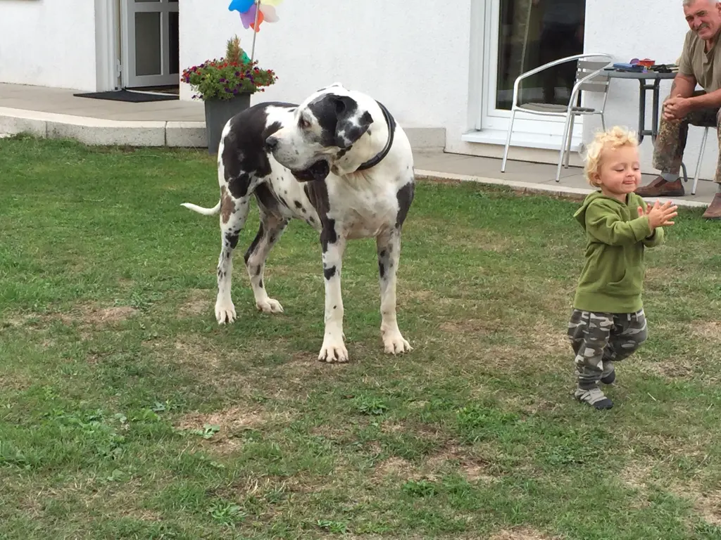 Condolence image of Esther mit Linu