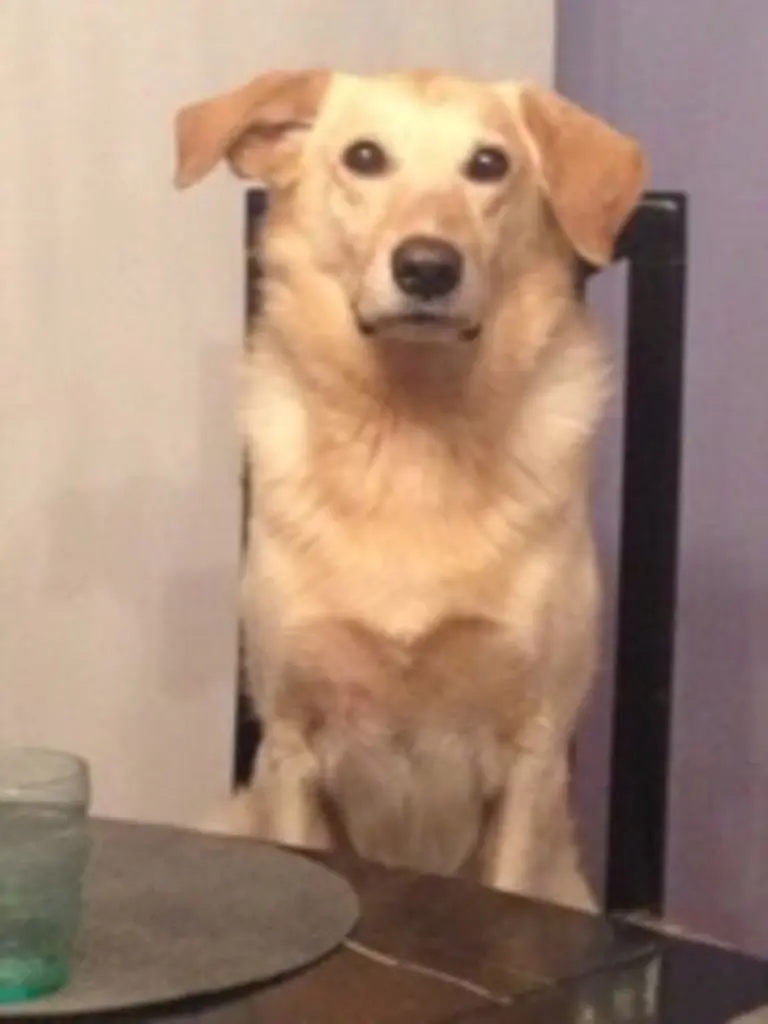 Condolence image of Nicole 